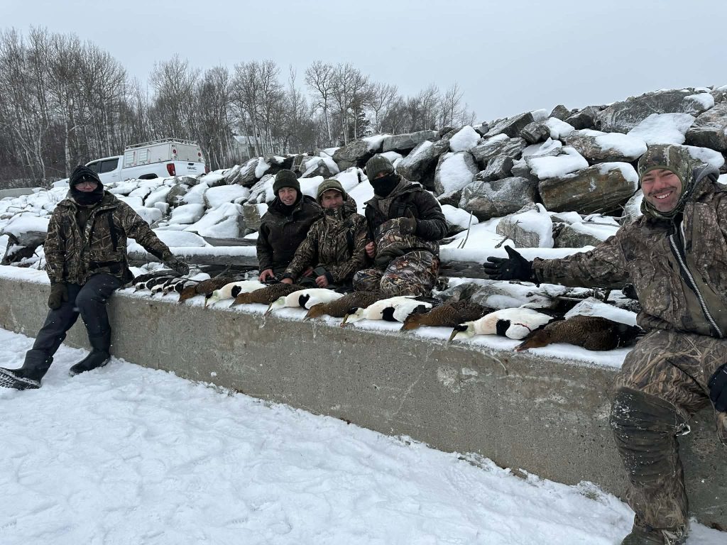 Groupe de chasseurs dans la neige derrière une rangée de canards plongeurs posés sur un muret