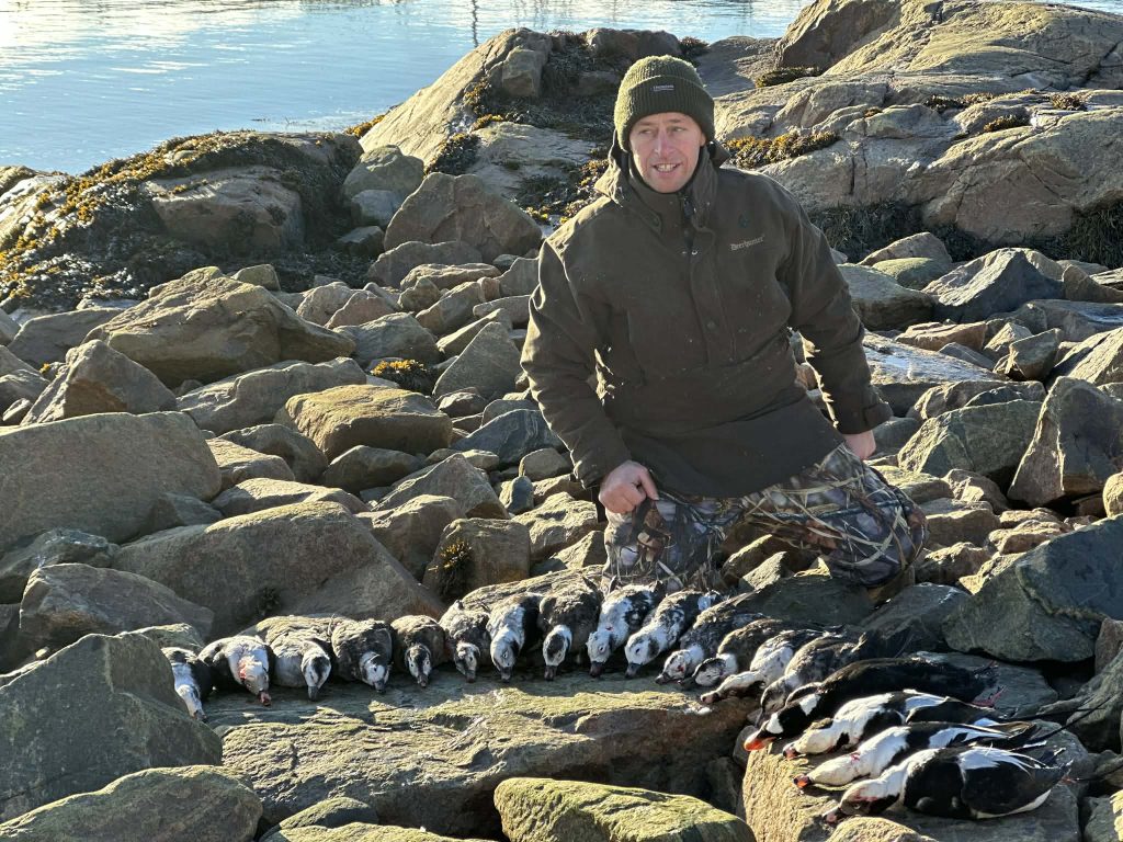 Chasseur agenouillé sur les rochers du bord du fleuve derrière une rangée de canards de mer