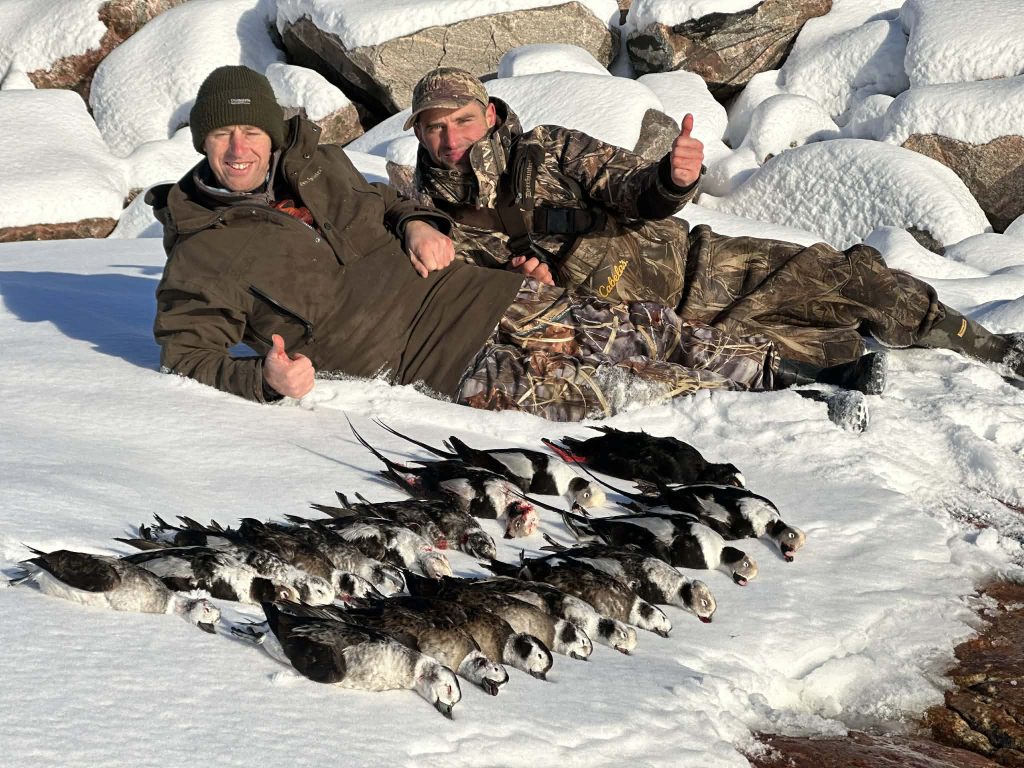 Deux chasseurs souriants derrière une grande rangée de hareldes et de garrots alignés dans la neige