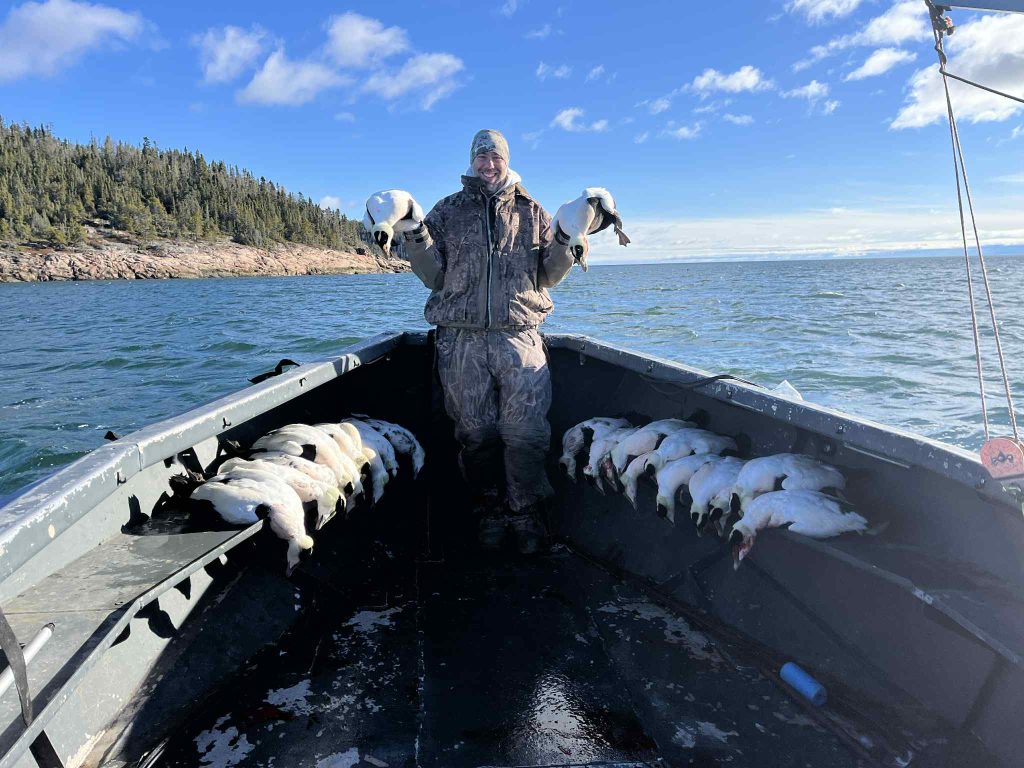 Chasseur debout dans le bateau, entouré d’eiders posés sur les deux bords