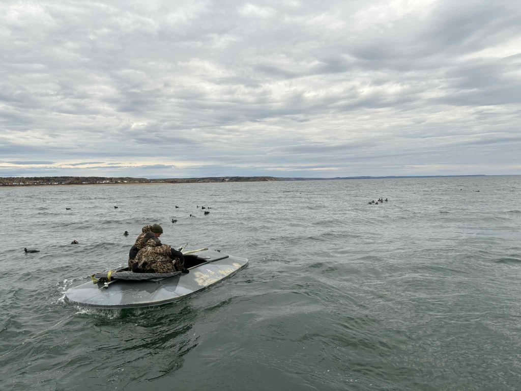 Chasseur en couchette sur l’eau, entouré d’appelants de canards de mer